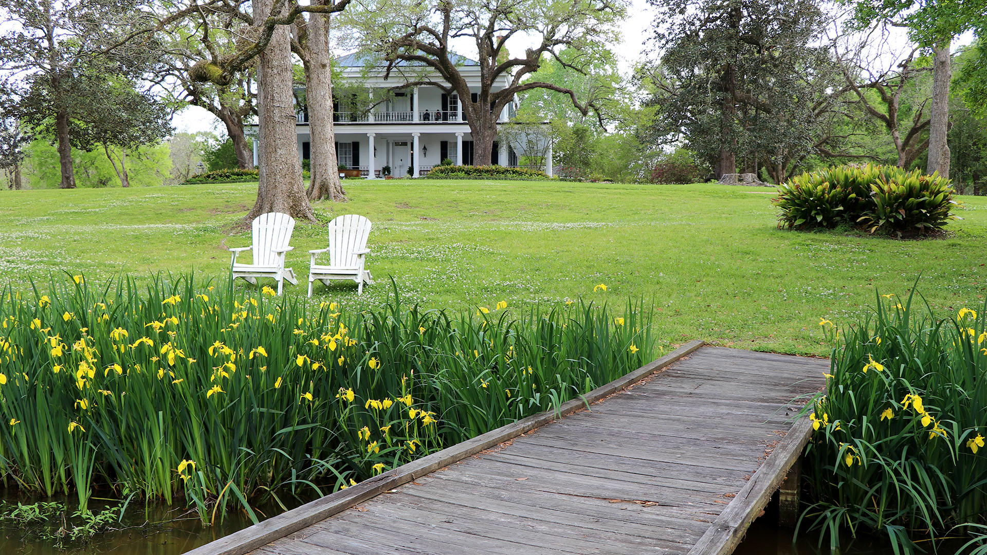 Road Trip on the Natchez Trace Parkway